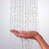 Ручной душ Hansgrohe Raindance Select S 26530670 черный матовый