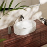 Раковина-чаша Hansgrohe Xuniva U 55 60166450