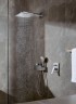 Верхний душ Hansgrohe Raindance E 30 26238140 Шлифованная бронза