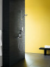 Смеситель для душа Hansgrohe Ecostat Select 13161000 с термостатом