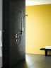 Смеситель для душа Hansgrohe Metris 31685000