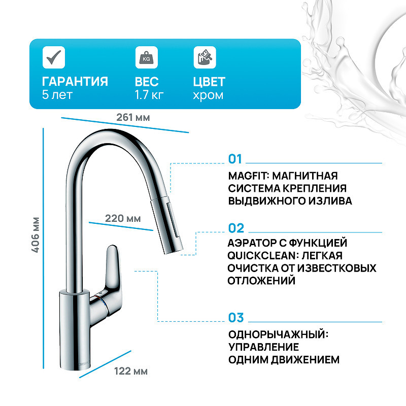 Смеситель для кухни Hansgrohe Focus 31815000 Хром