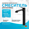 Смеситель для раковины Hansgrohe Vivenis 75042670 черный матовый