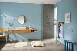 Смеситель для душа Hansgrohe Ecostat E 15773000 с термостатом Хром