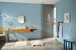 Смеситель для душа Hansgrohe Ecostat E 15773000 с термостатом Хром