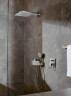 Верхний душ Hansgrohe Raindance E 26238700 белый матовый