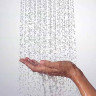 Ручной душ Hansgrohe Raindance Select S 26530400 Хром