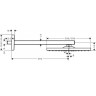 Верхний душ Hansgrohe Raindance 26238670 черный матовый